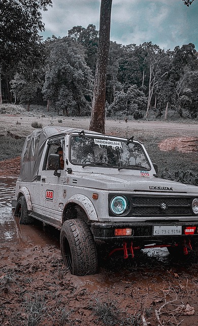 自主研发，不断创新